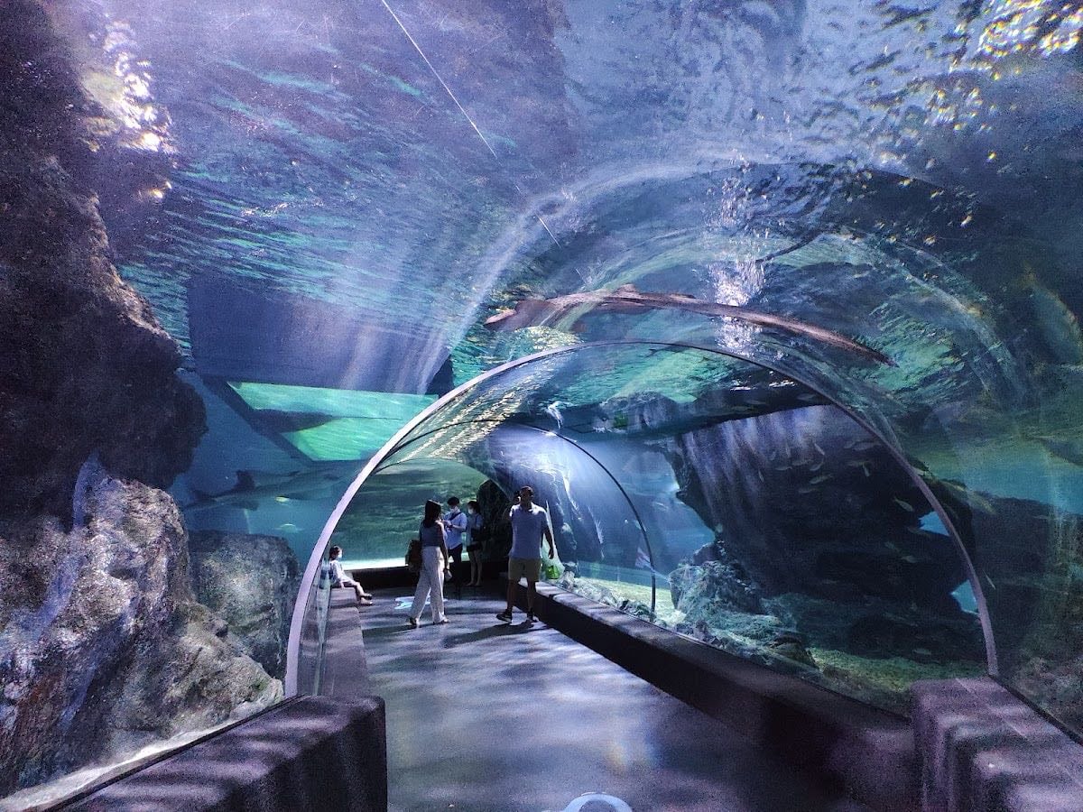 SEA LIFE Bangkok Ocean World
