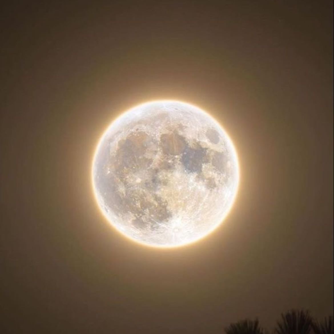 moonlight