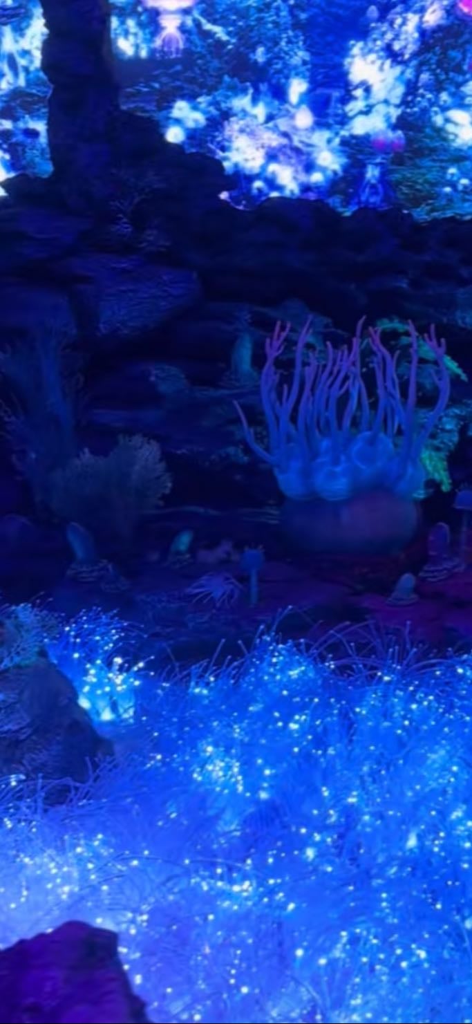 沼津港深海水族館(静岡)