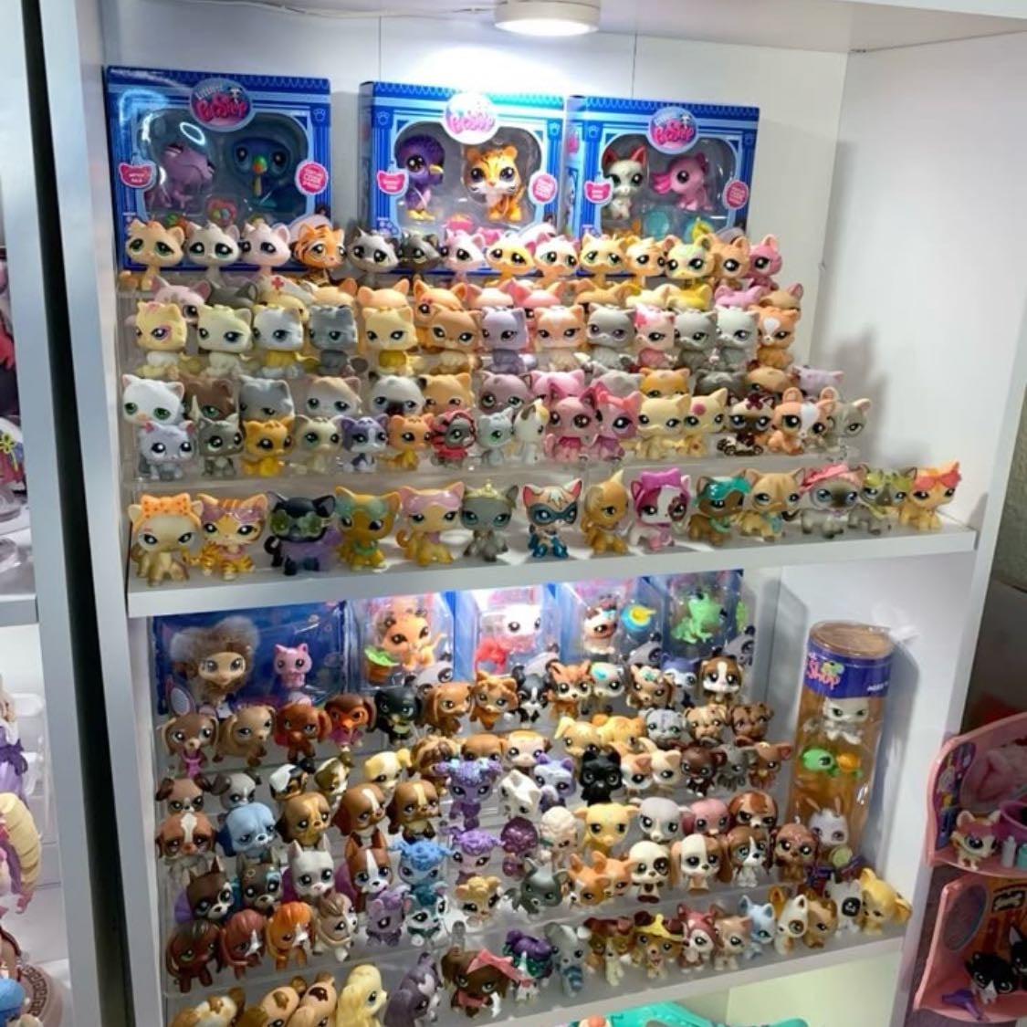Lps
