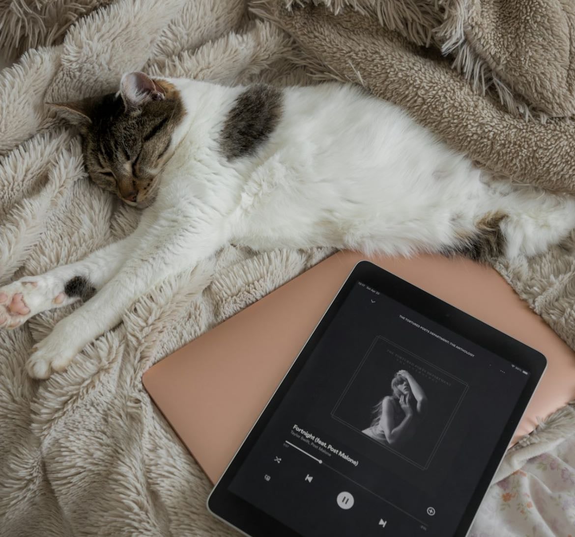 Cozy music - Music hypelist by Carla