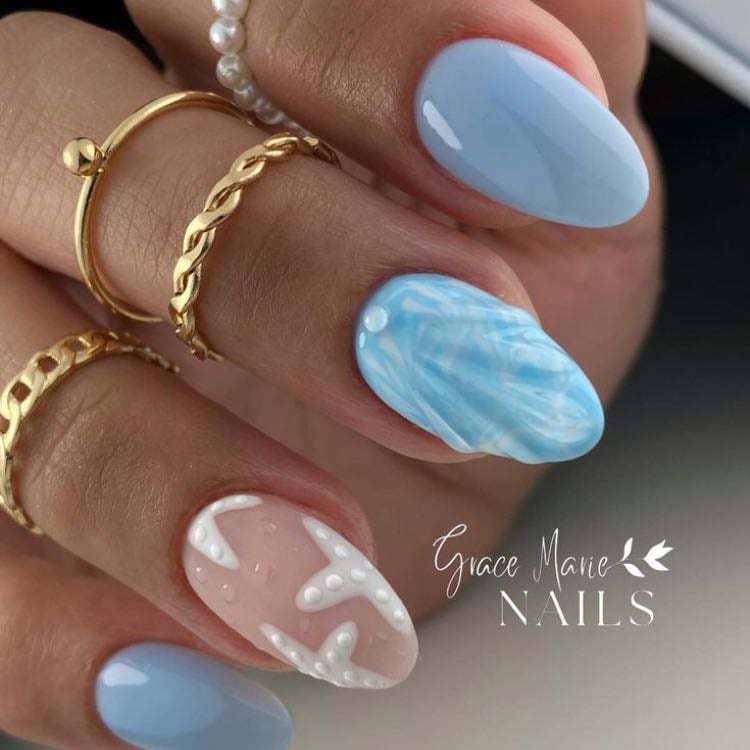 almejas color marr 🐬 - y con estrellitas de mar blanquitas 🥥
