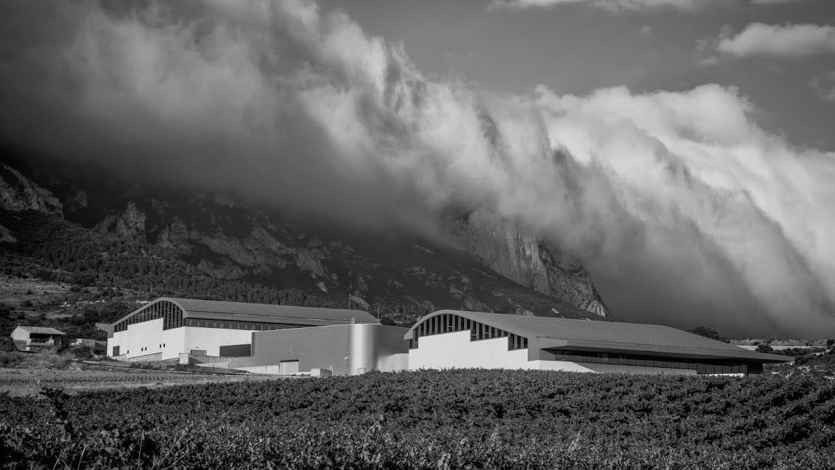 Bodegas Benjamin de Rothschild & Vega Sicilia (MACÁN)