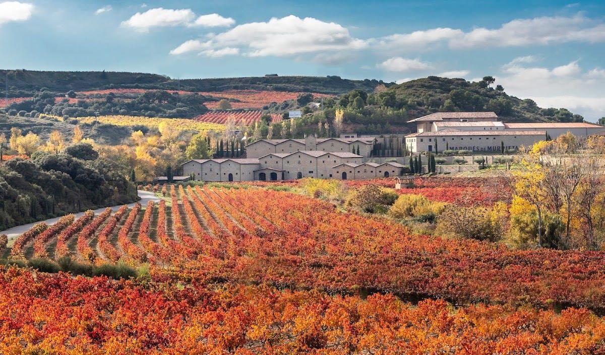 Bodega Marqués de Murrieta