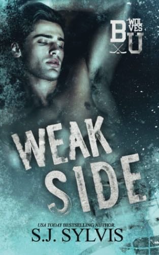 Weak Side: A Fake Dating Hockey Romance - SJ Sylvis · 2023