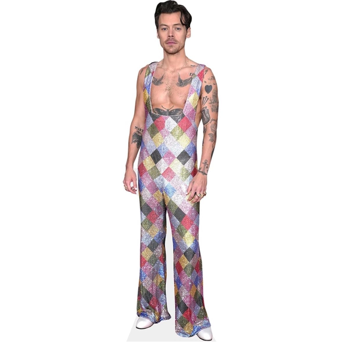 Harry Styles Cardboard Cutout!!