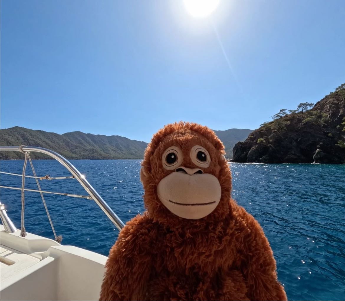 fuckass ikea orangutang plushie