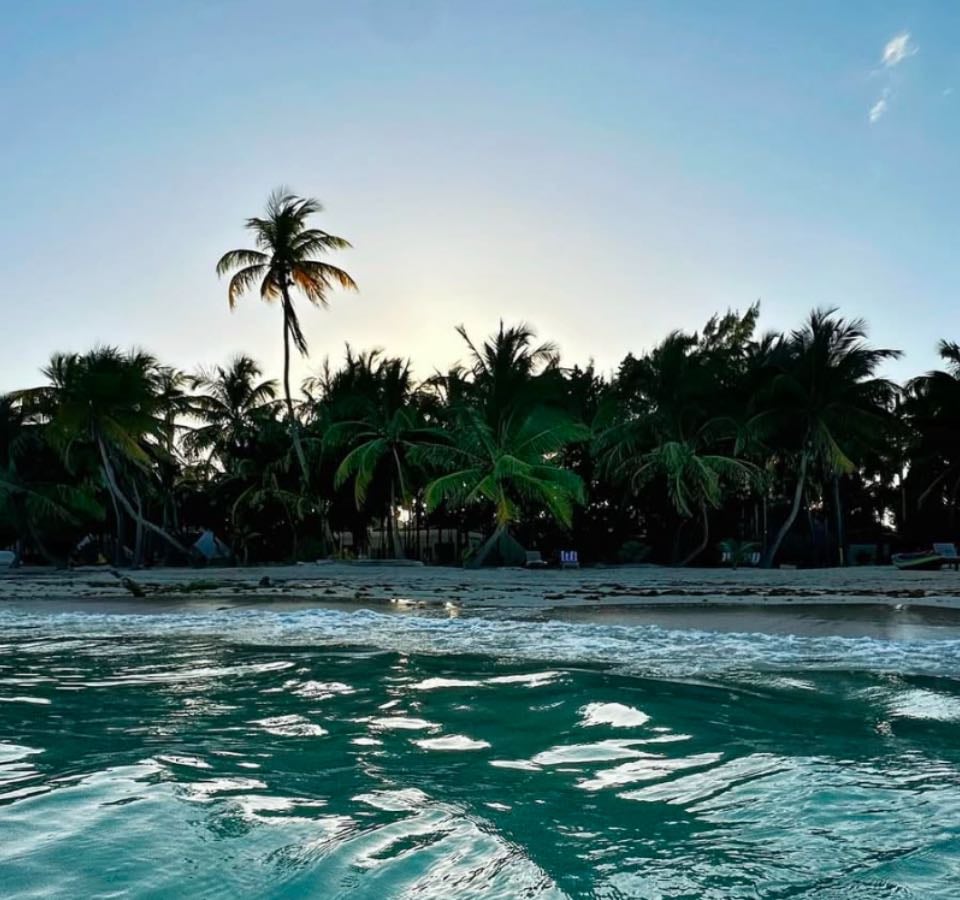 SPOTS DEL CARIBE MEXICANO