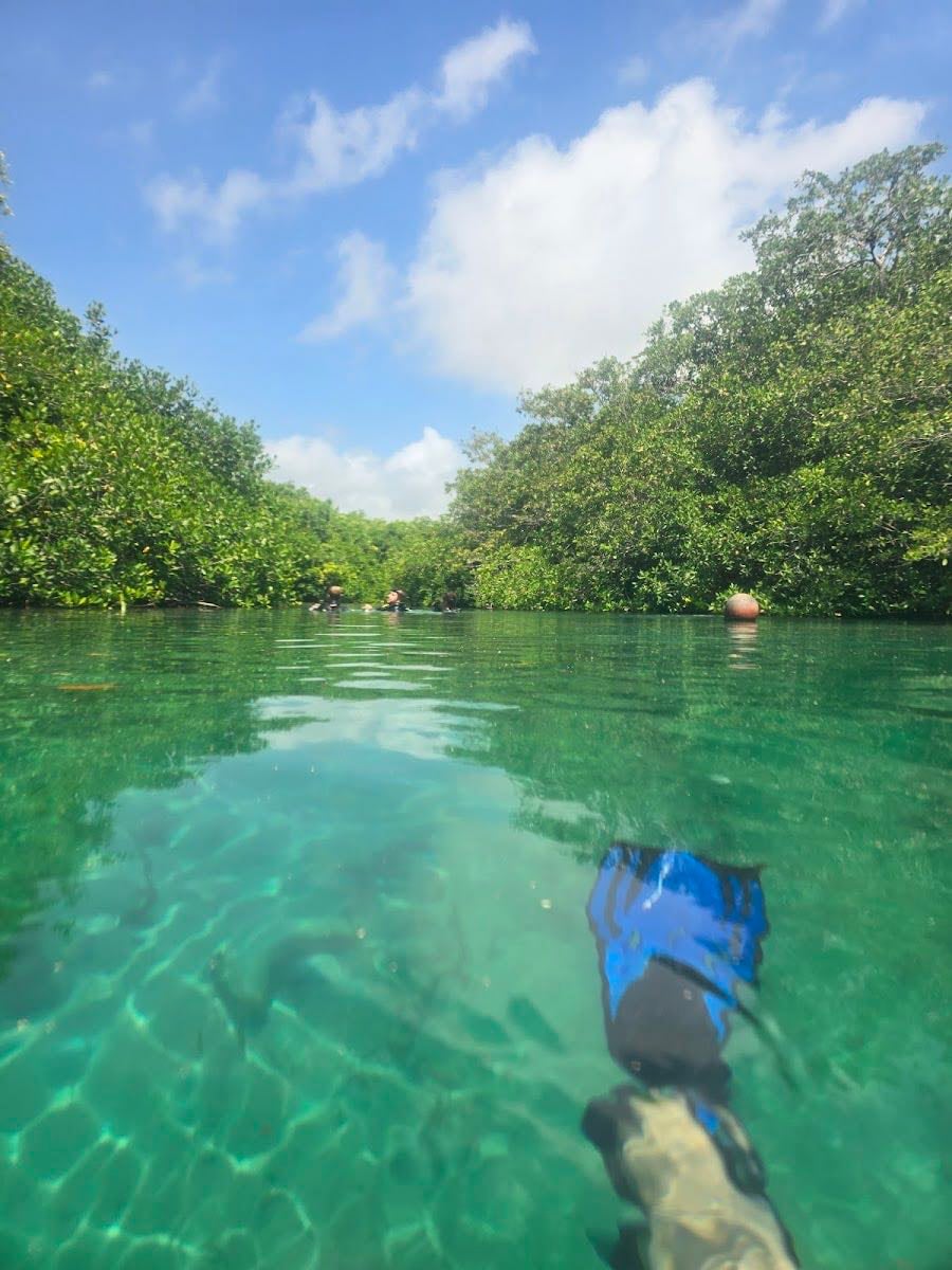 Cenote Manati - Tulum