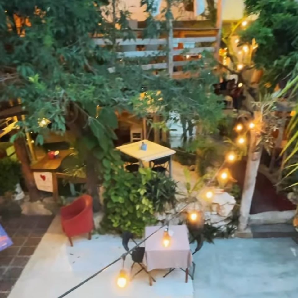 Yolis pizza - Cancún (Región 231)