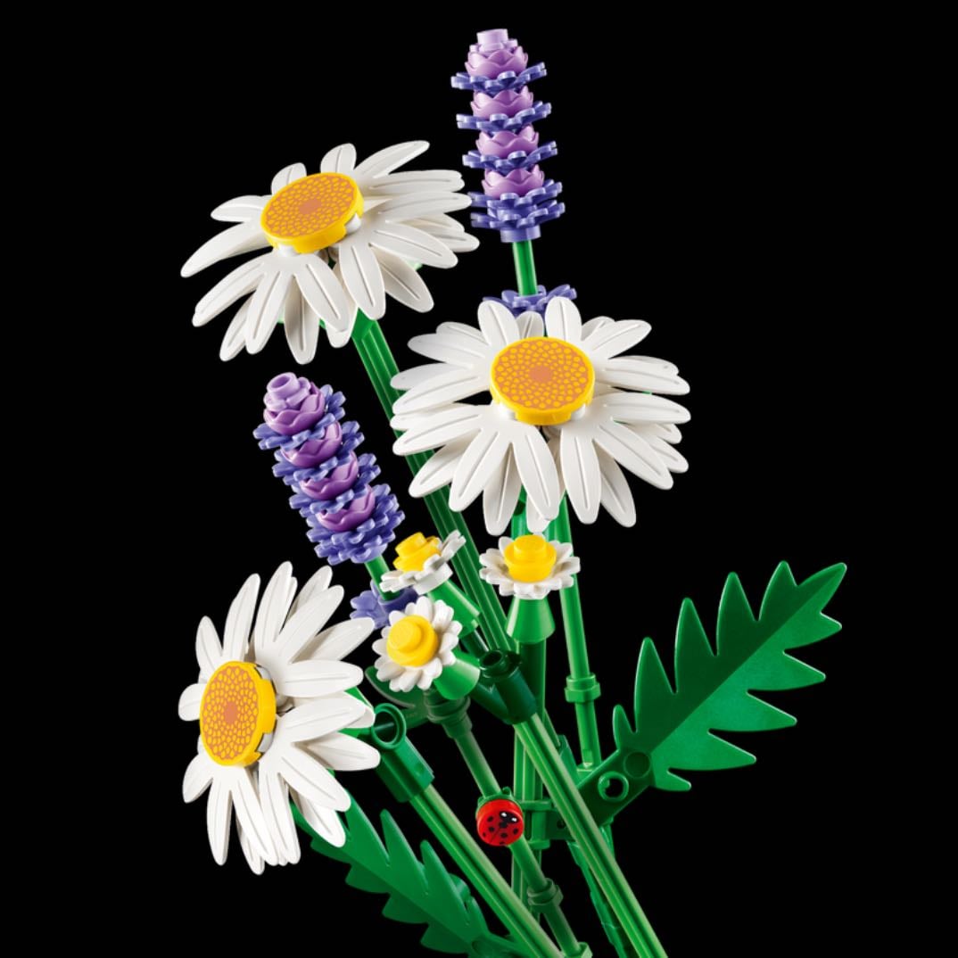 Daisies