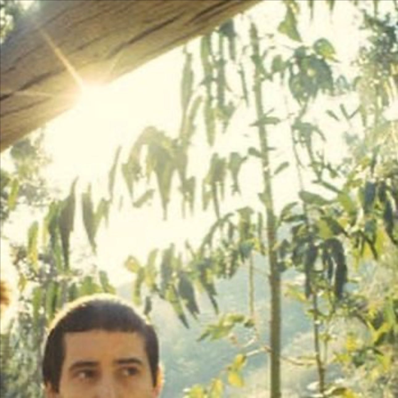 Let Me Live In Your City - Paul Simon