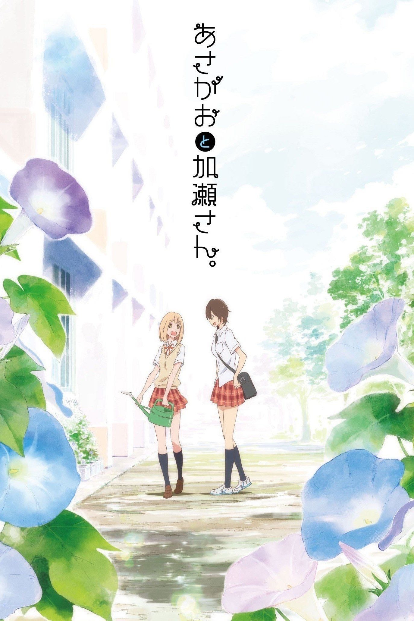 Kimi no Hikari: Asagao to Kase-san. - 佐藤卓哉 · 2017