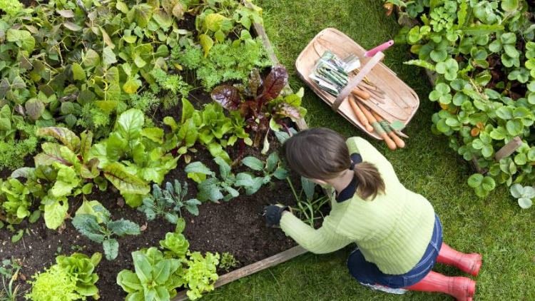 Grow my own foodπ±