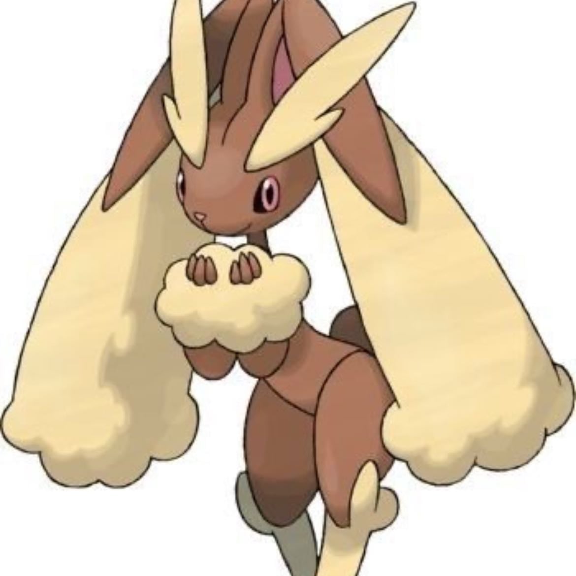lopunny - #0428