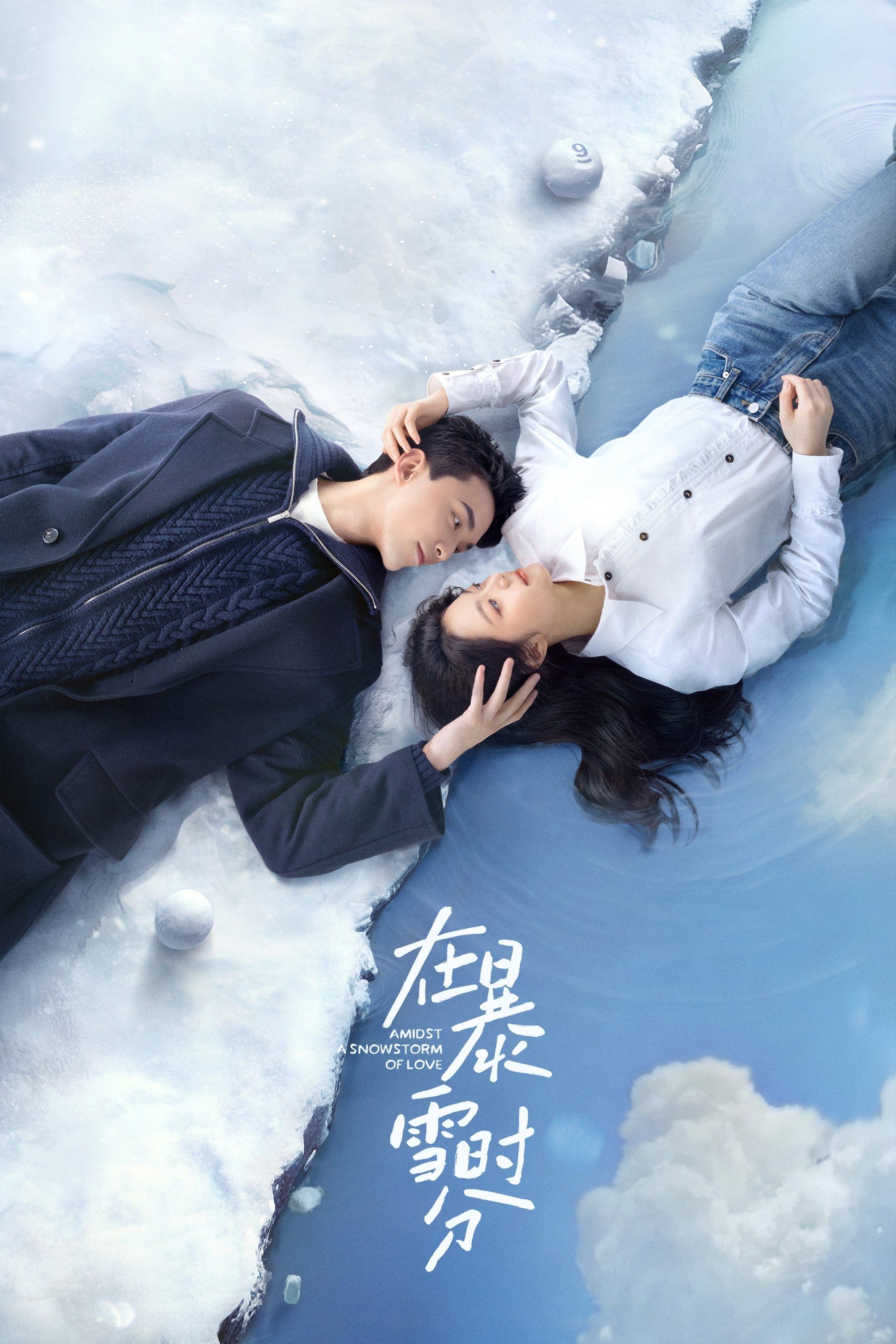 Amidst a Snowstorm of Love - 墨宝非宝 · 2024
