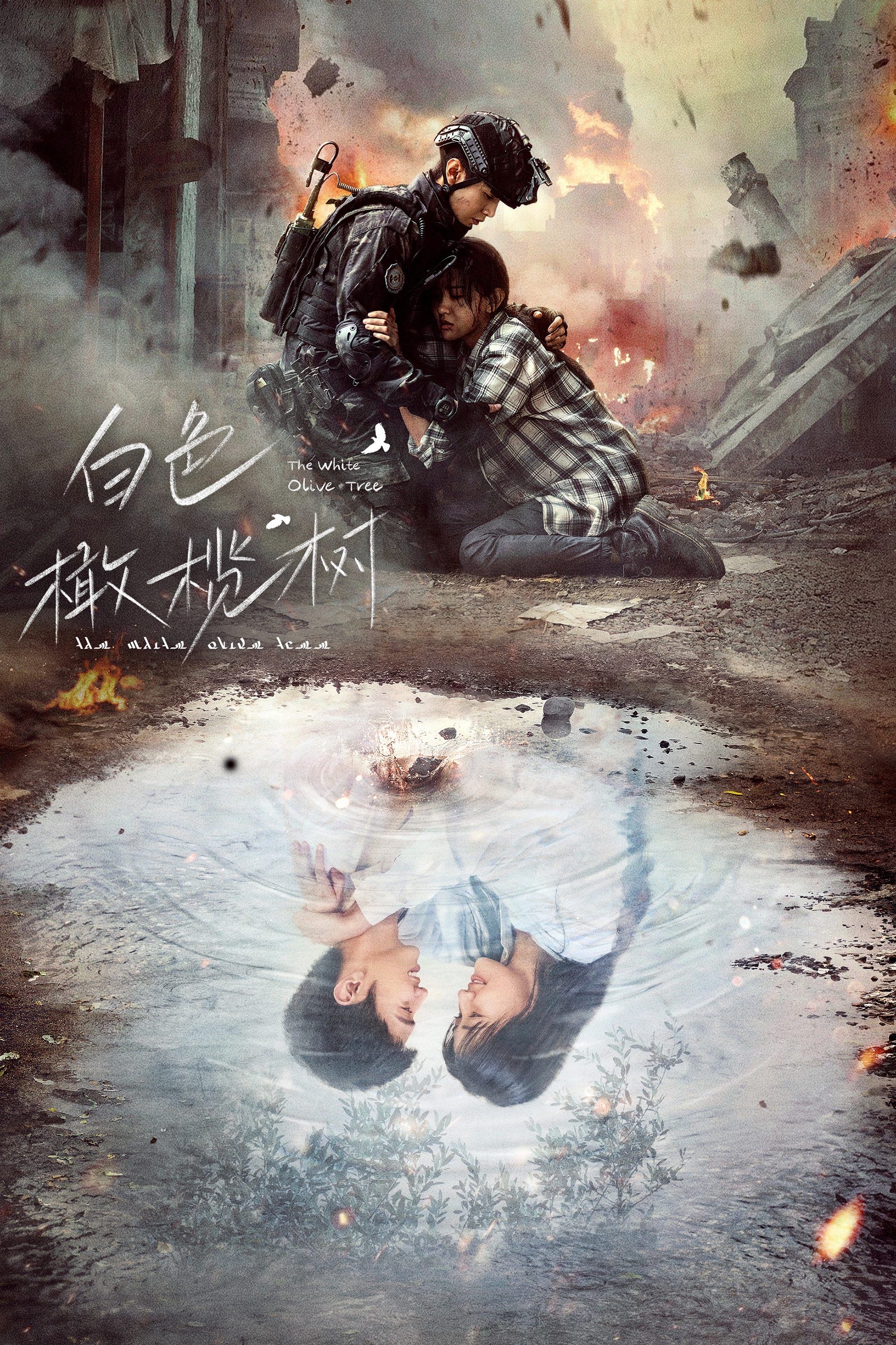 The White Olive Tree - 2025