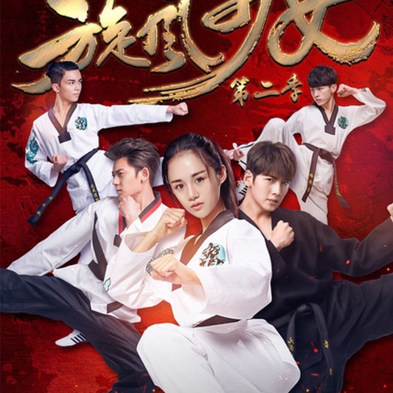 Chica torbellino 2 - 2016