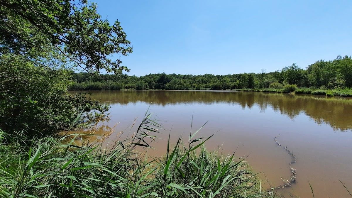 Vernou-en-Sologne