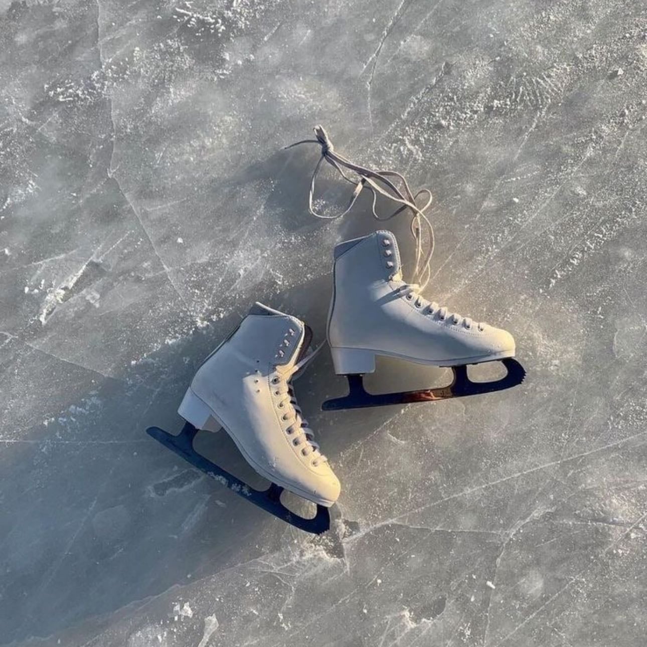 Patins à Glace