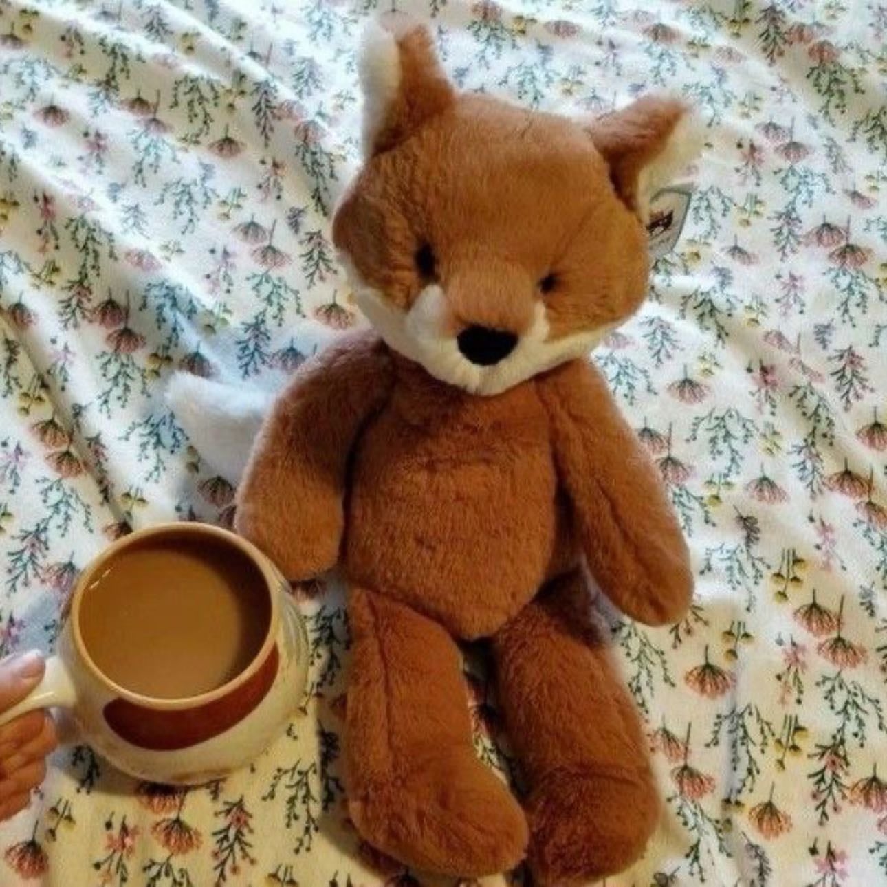 Renard - JellyCat