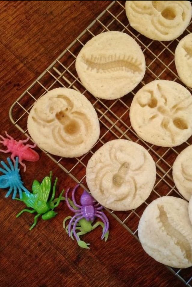Sablé Insectes - Dessert