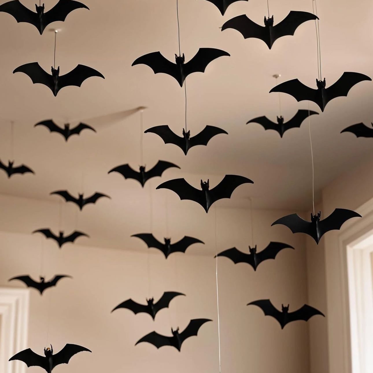 Chauve-Souris