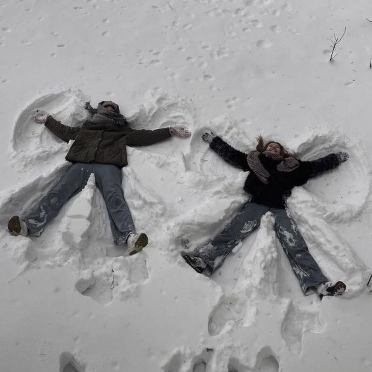 Ange des Neiges