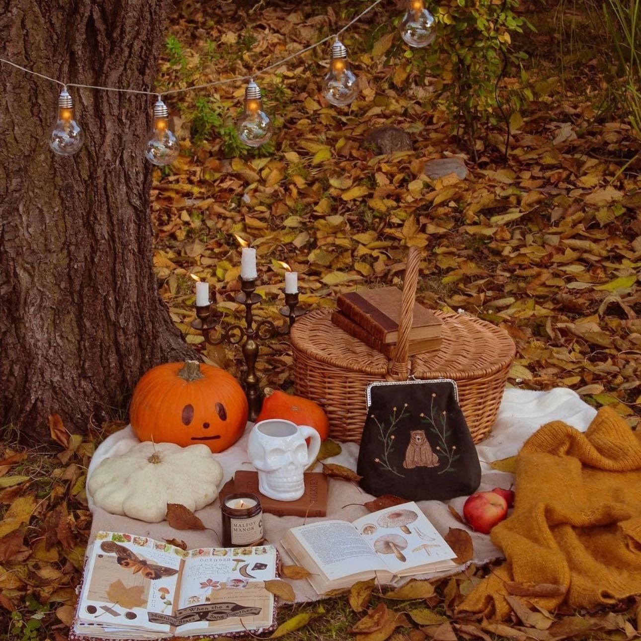 Picnic Automnale