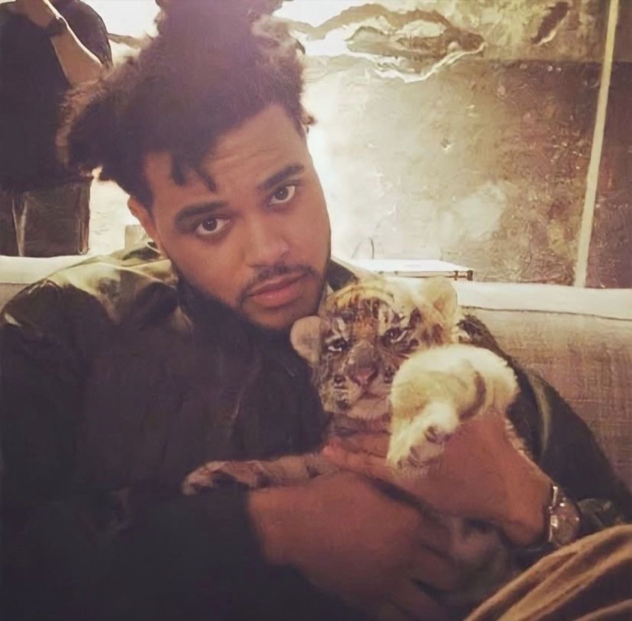 The Weeknd - Artist