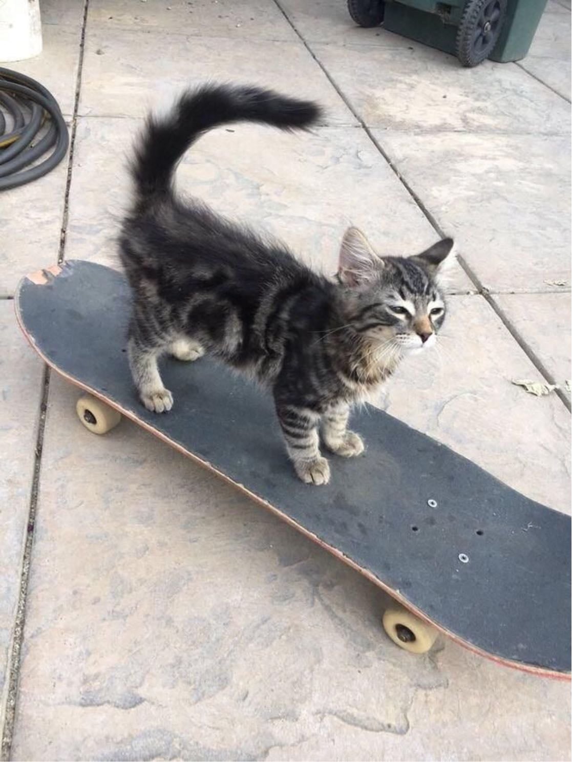 Skating - Look for your local skate park, learn a new skill and meet some new cool people