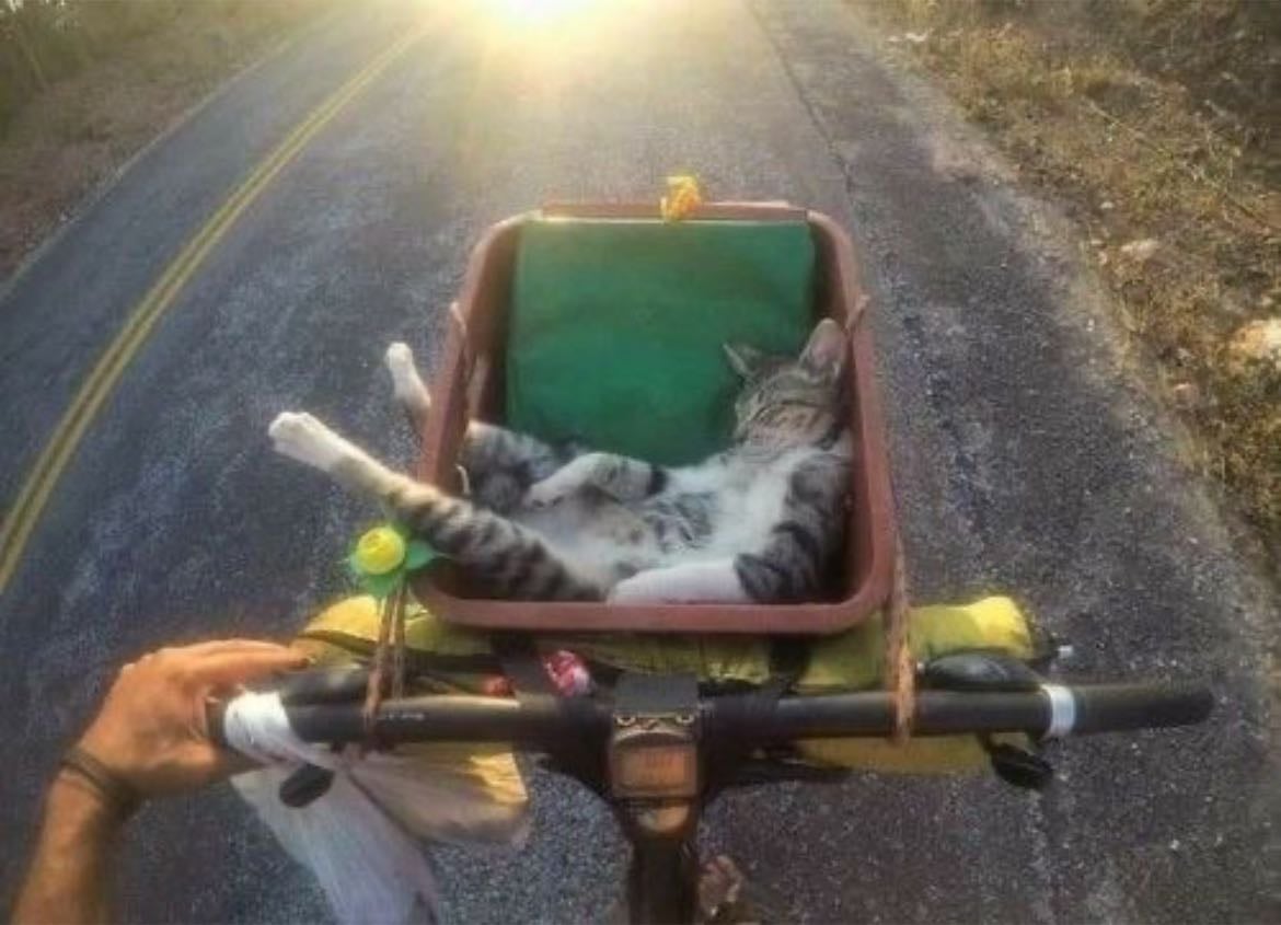 Bike Tour