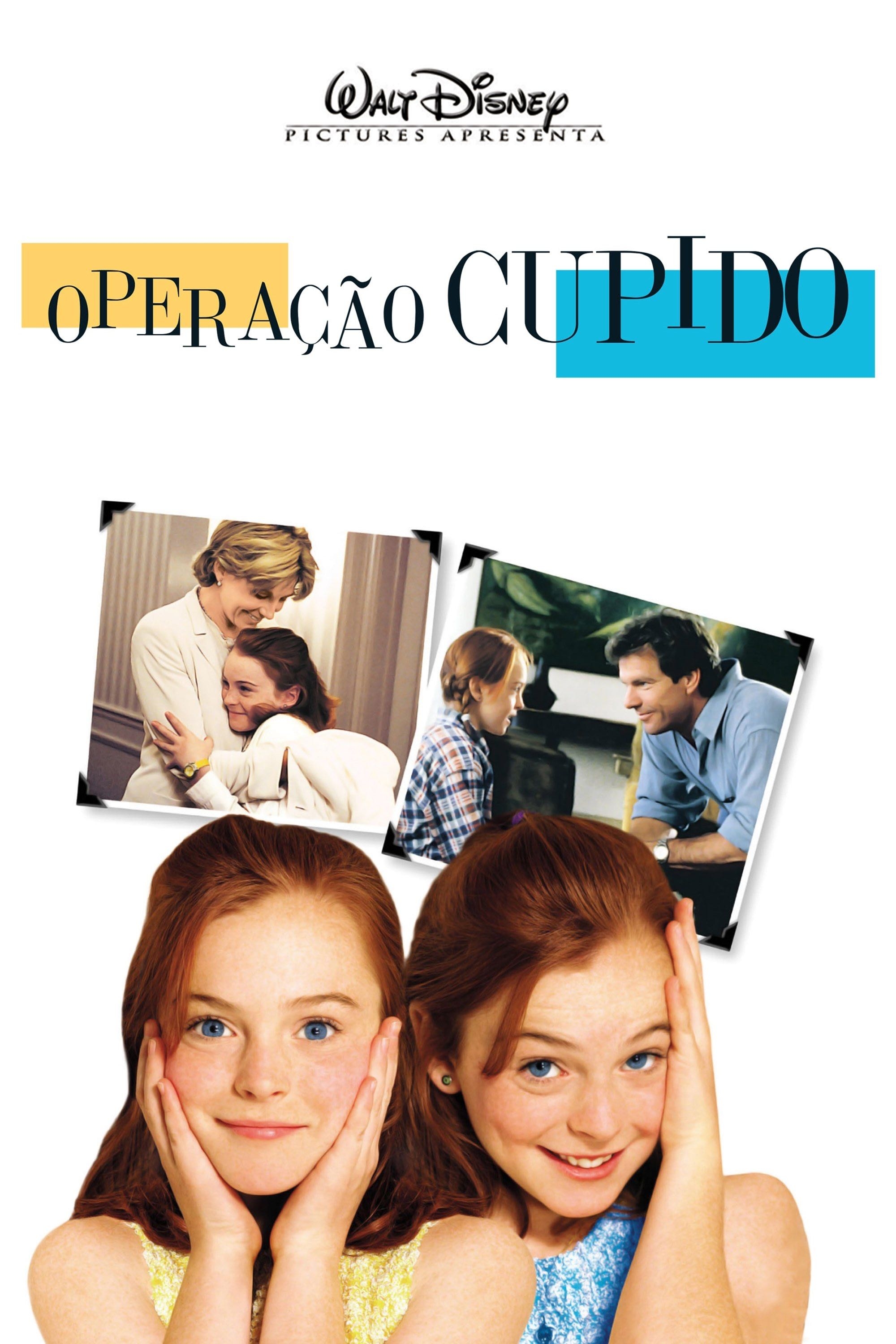 Operação Cupido - Nancy Meyers · 1998