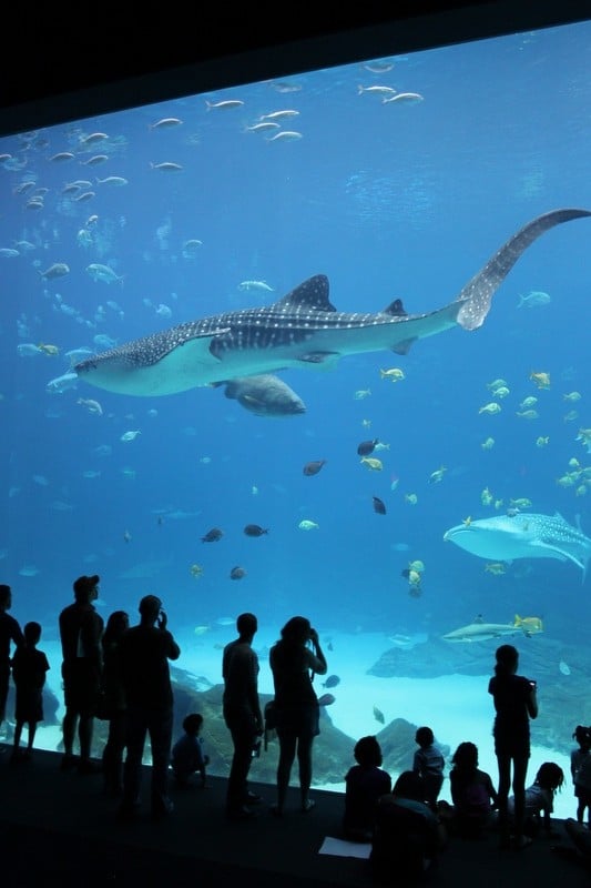 Visit Aquarium
