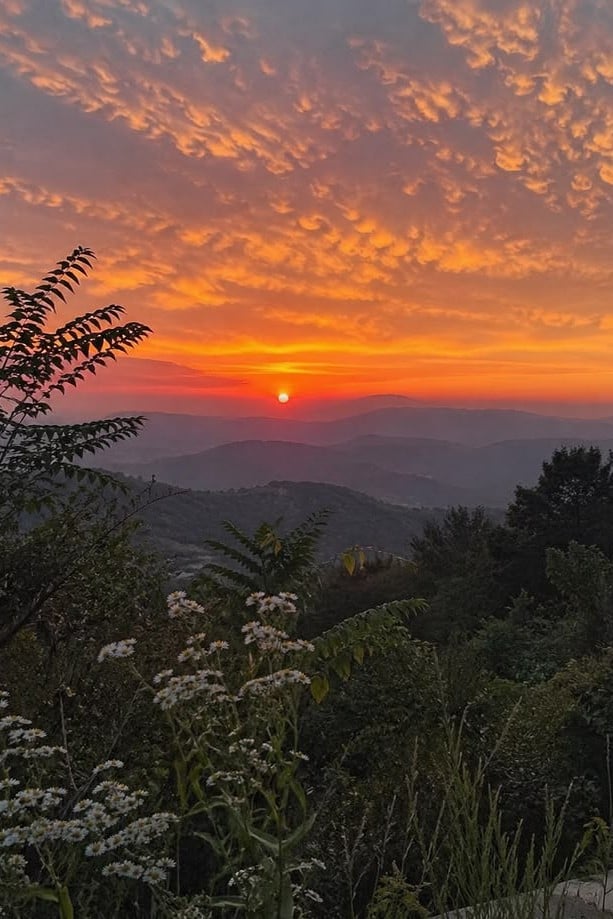 Watch Sunrise/Sunset