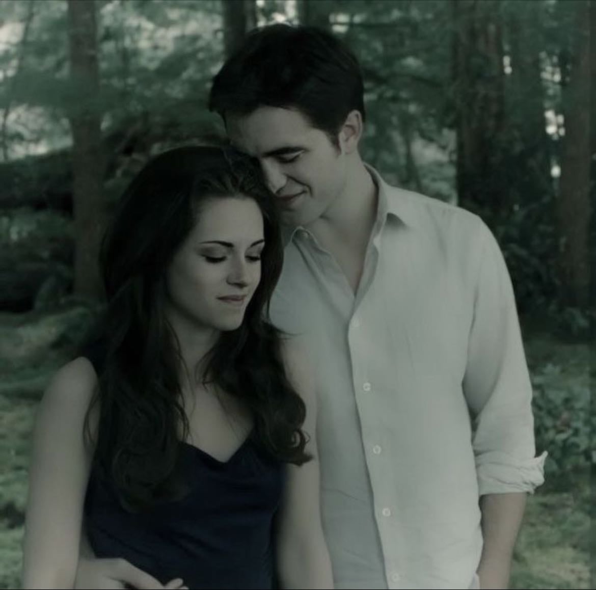 twilight saga - 2008