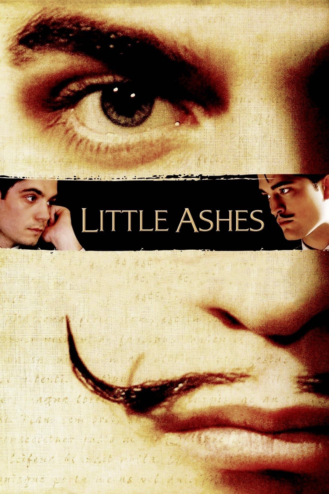 Little Ashes - Paul Morrison · 2008