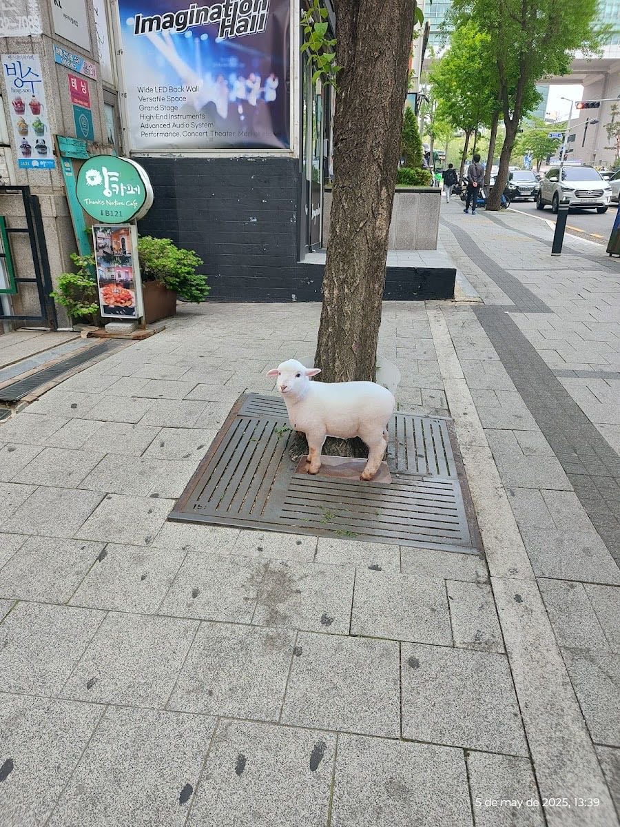 Hongdae