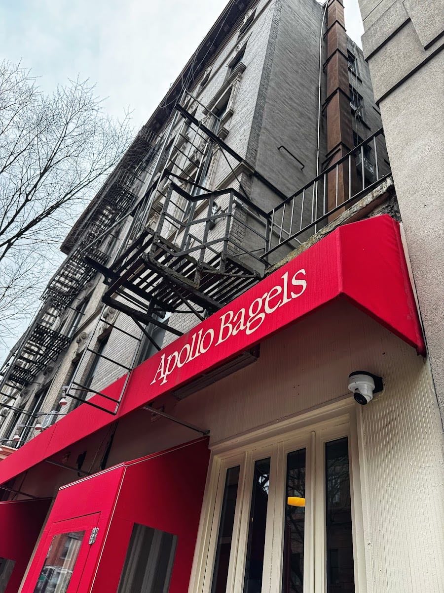 Apollo Bagels
