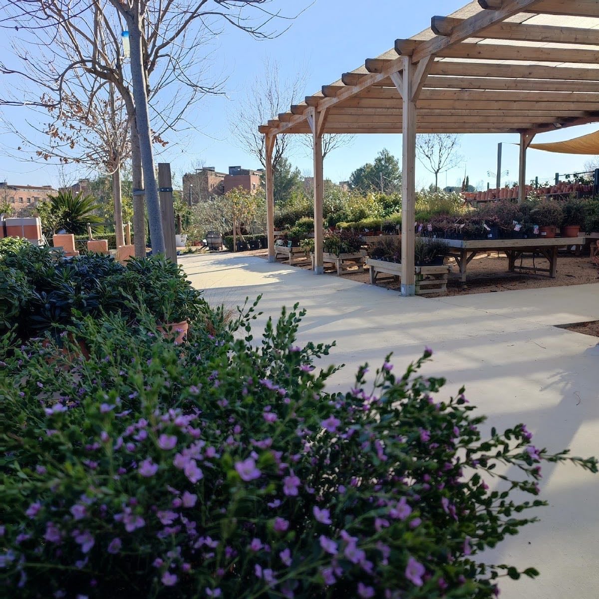 Elia Garden - Decoració nadal