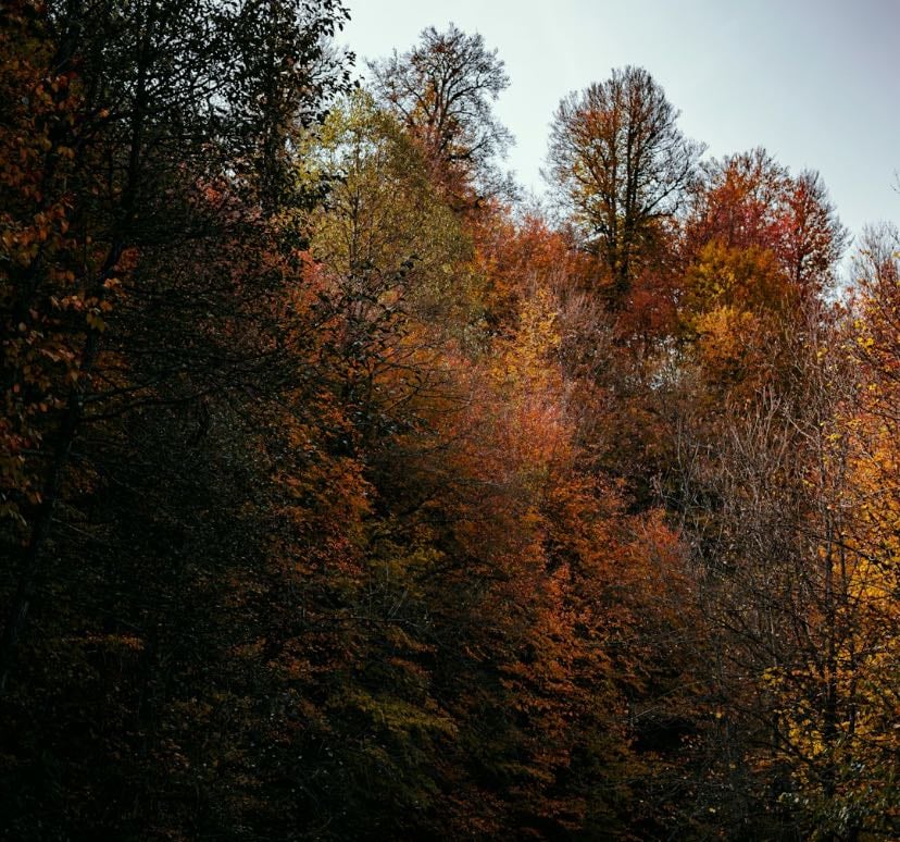 My Autumn Wishlist - Links hypelist by Daniela Romero Recio