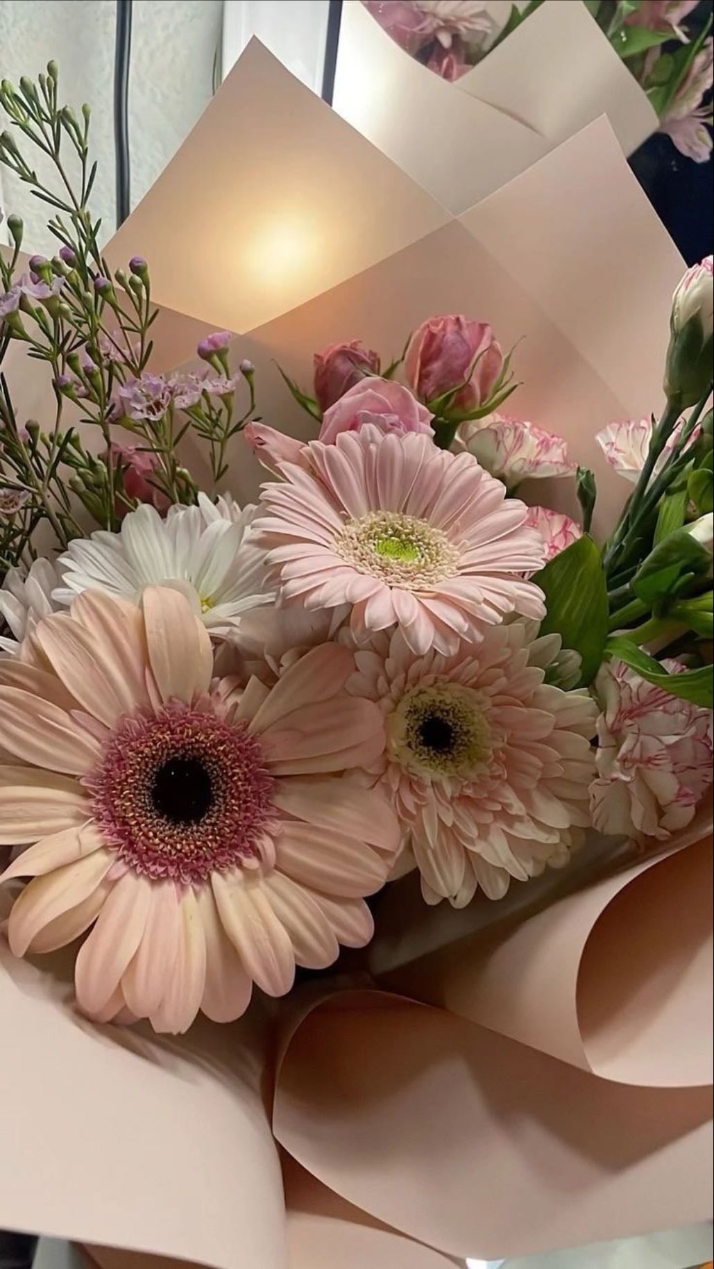 gerberas