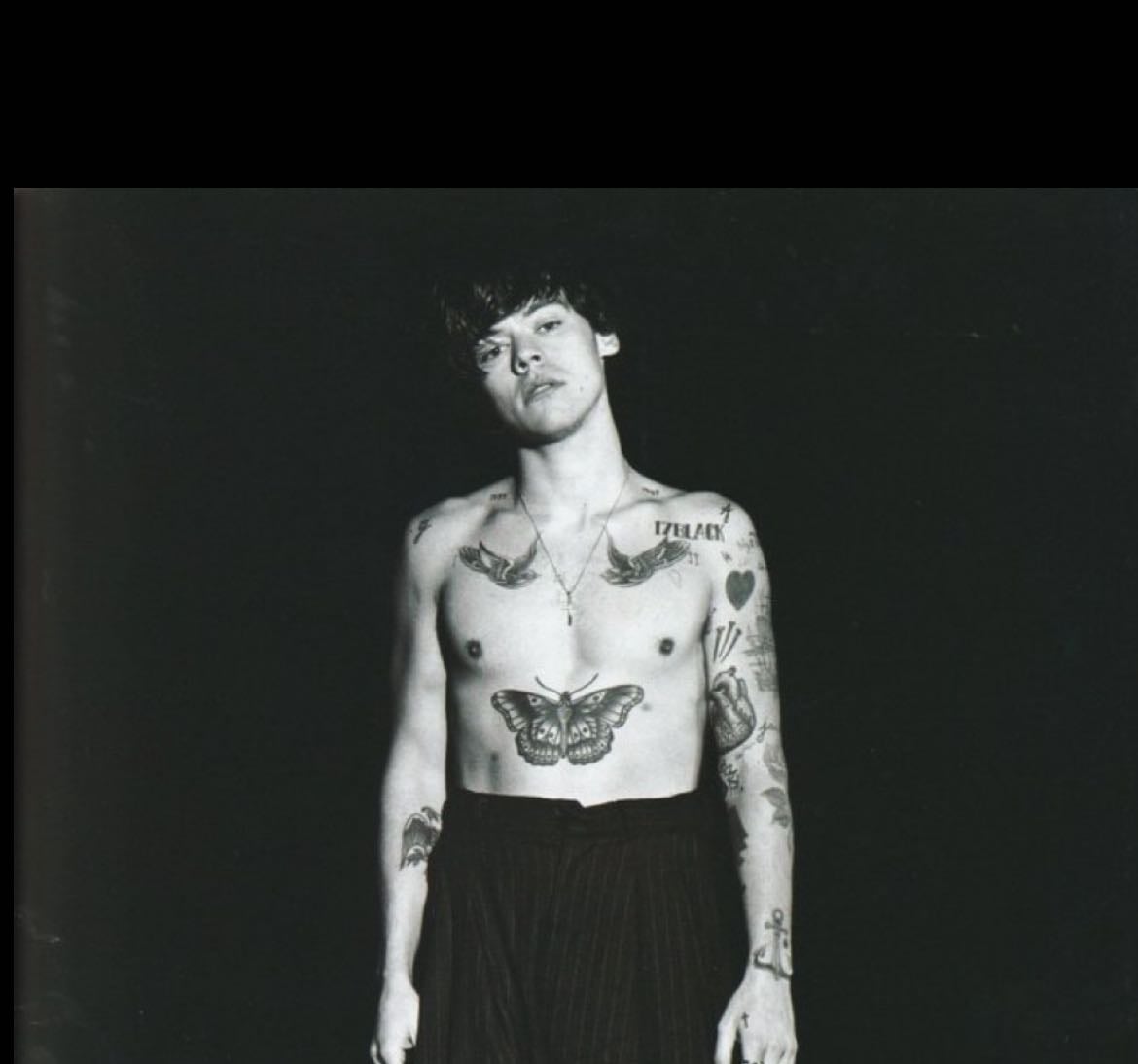 Harry!!