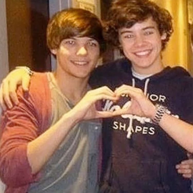 HARRY AND LOUIS - But I’m also gonna write about why I love all of the members.