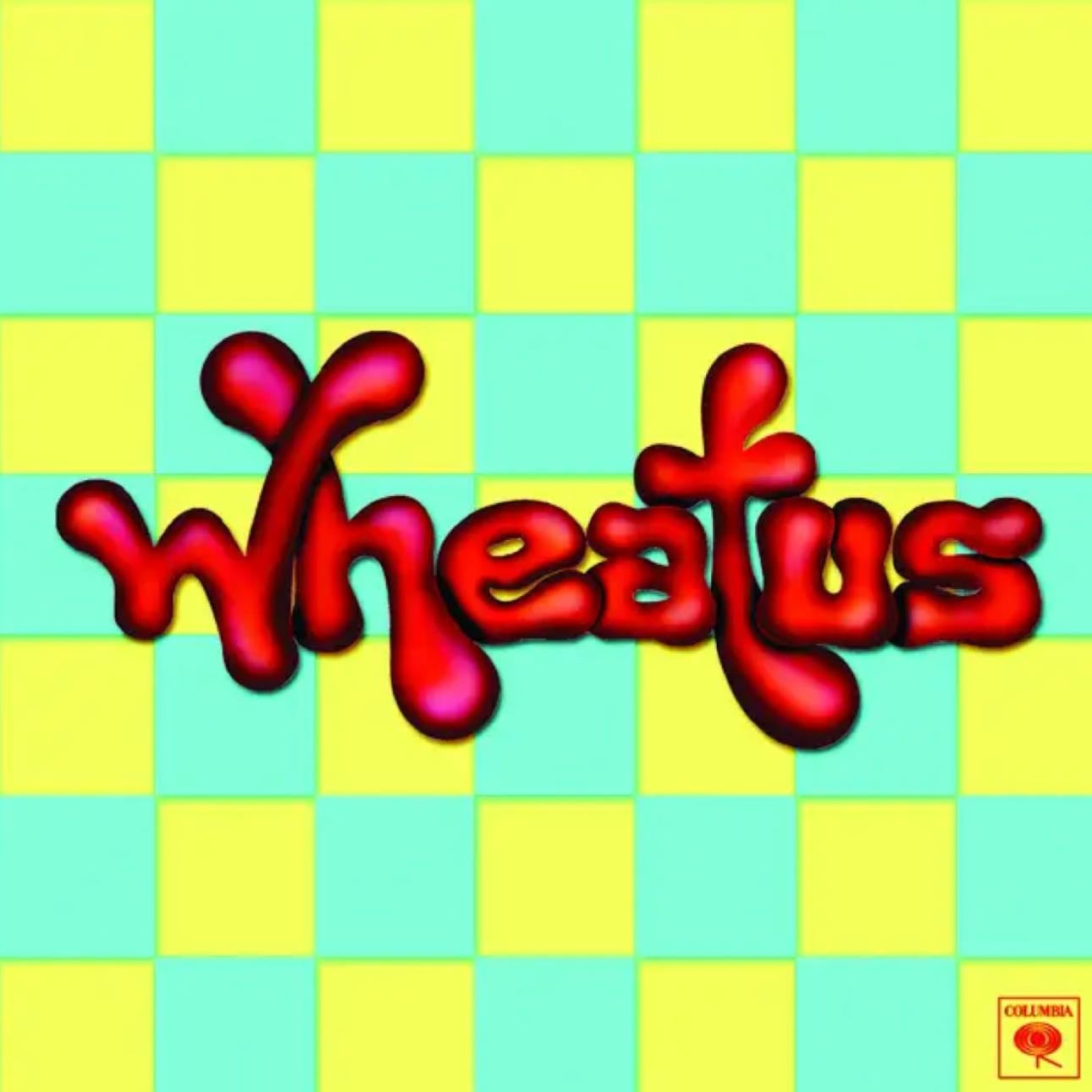 teenage dirtbag - song by wheatus