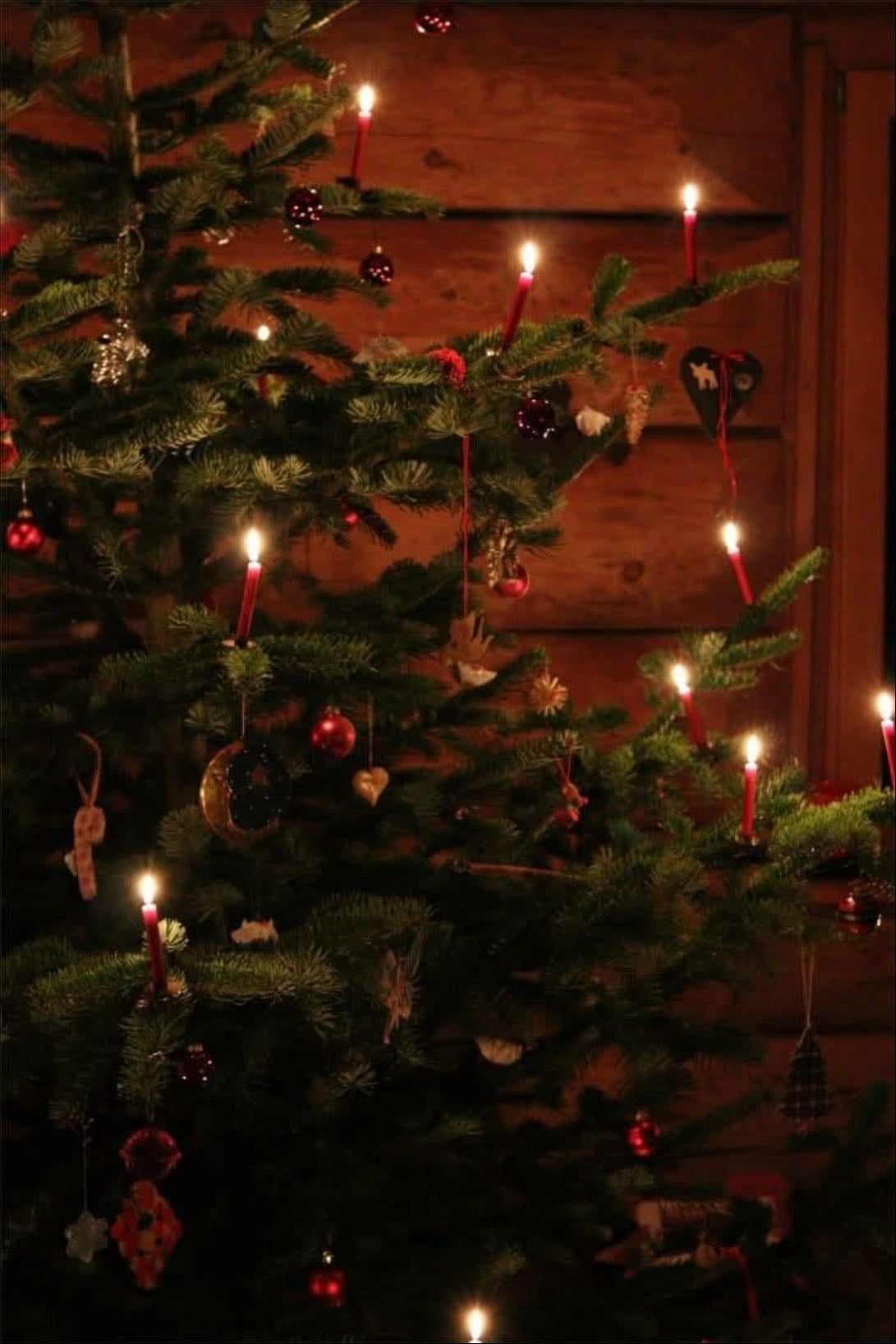 seasons greetings