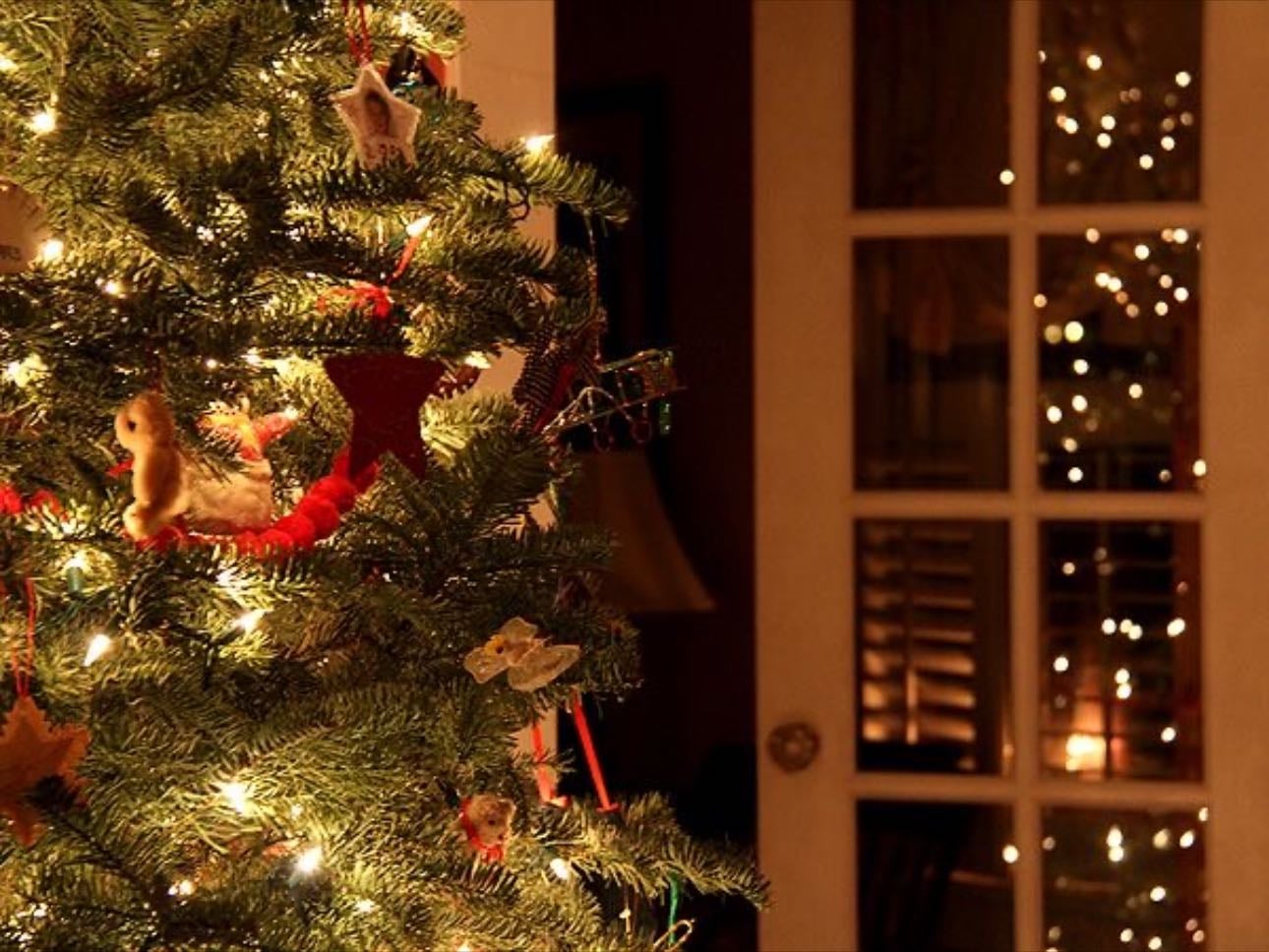 love yule
