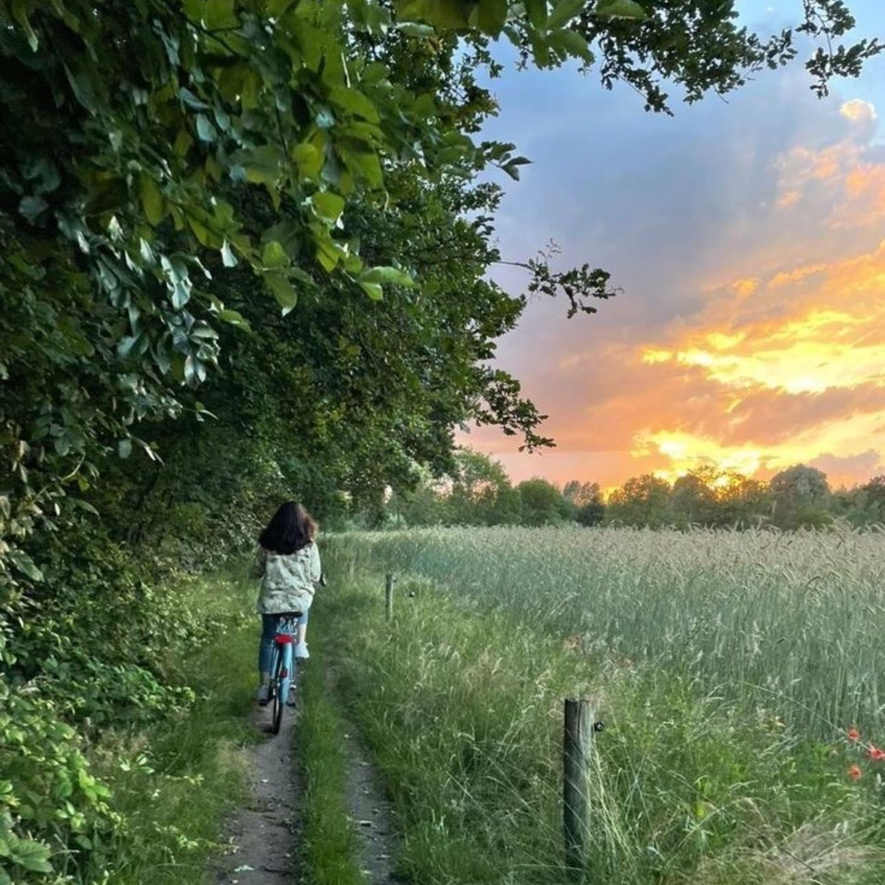 BIKE RIDES