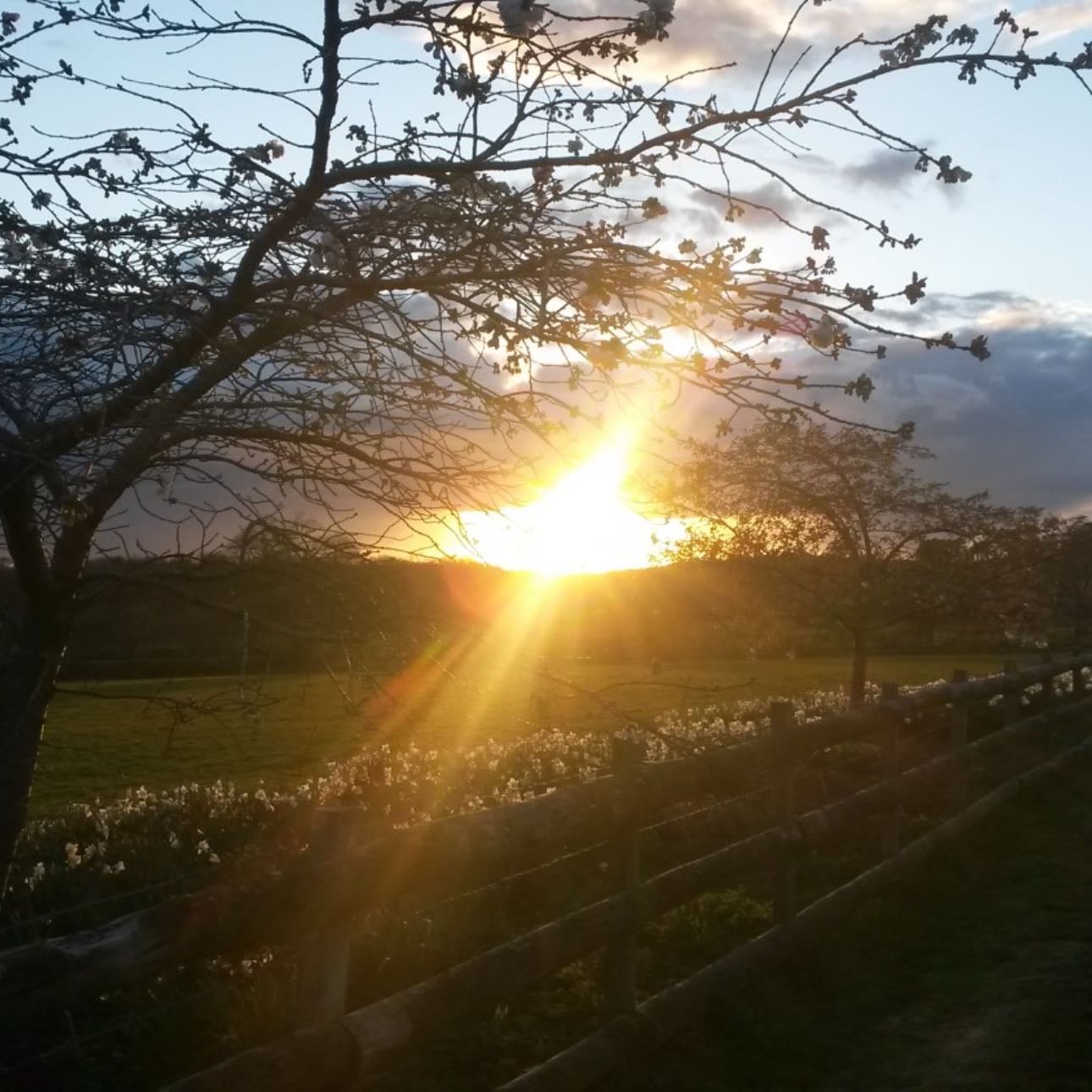 evening walks