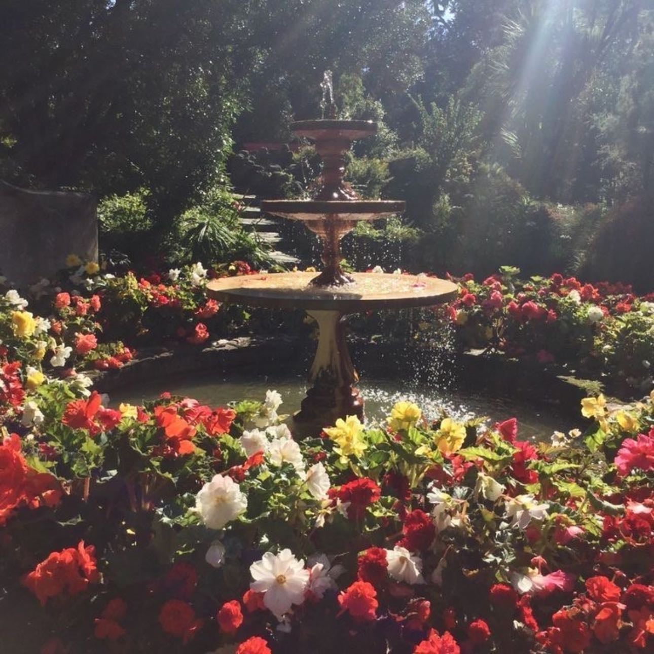 water fountains